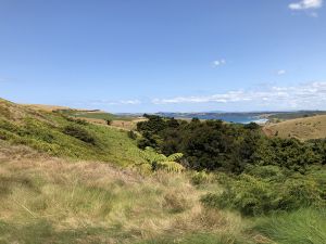 Kauri Cliffs 4th Box